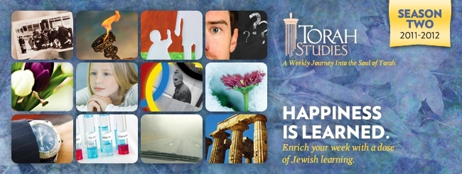 Torah Studies